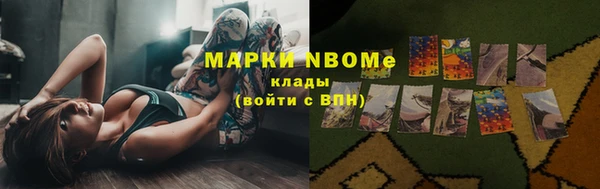 спиды Верея